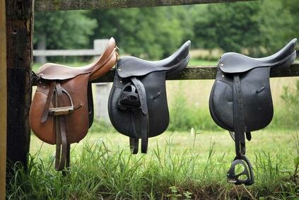 Comment Choisir Sa Selle De Cheval