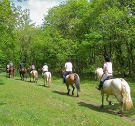 randonnee cheval strasbourg